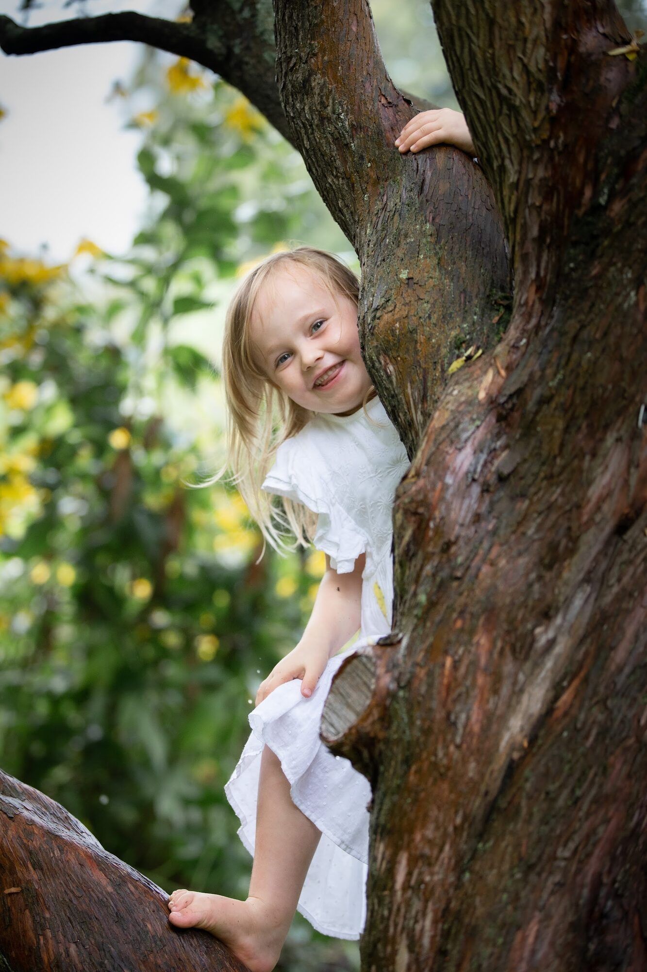Little girl climbing a tree